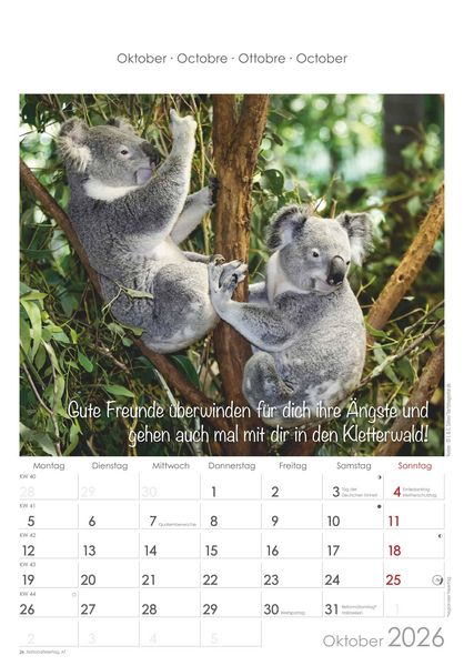 Produktbild: Kleine Freunde 2026 - Bildkalender 23,7x34 cm - Kalender mit Platz für Notizen - mit vielen Zusatzinformationen - Wandkalender - Alpha Edition