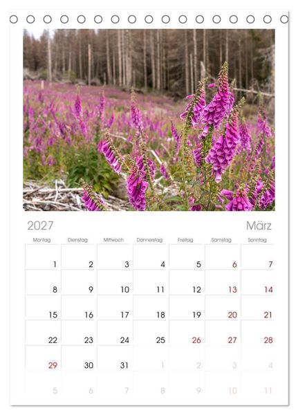 Produktbild: Tischplaner 2027 - Deutschlands Regionen - der Harz (A5 Tischkalender zum Aufstellen) CALVENDO