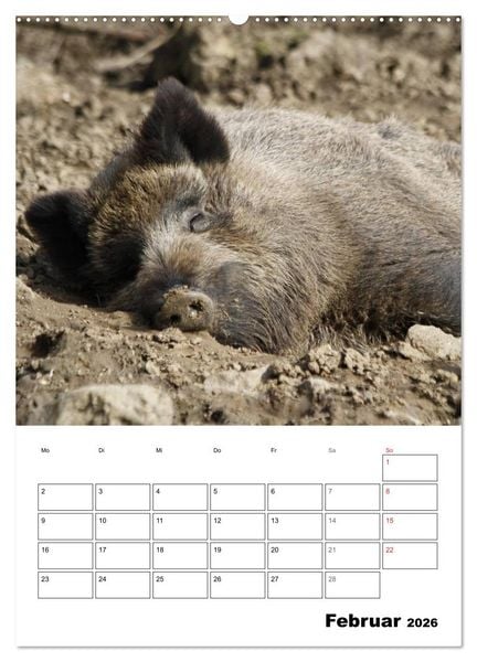 Produktbild: Der wildschweinische Terminplaner (Wandkalender 2026 DIN A2 hoch), CALVENDO Monatskalender