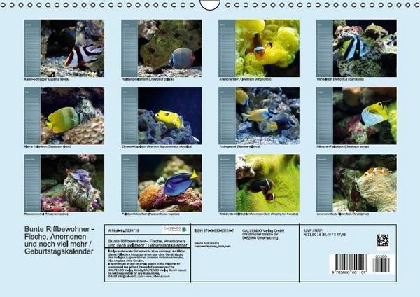 Produktbild: Bunte Riffbewohner - Fische, Anemonen und noch viel mehr (Wandkalender immerw&auml;hrend DIN A3 quer)