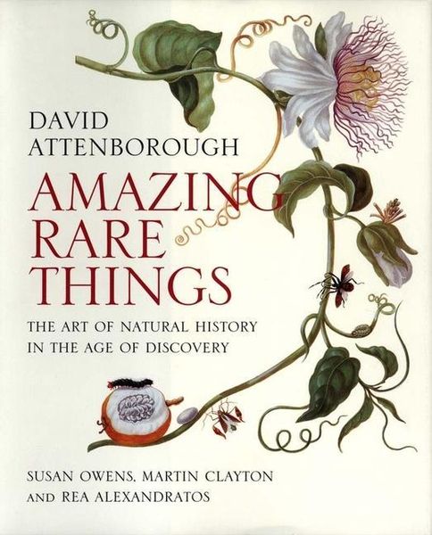 Produktbild: Amazing Rare Things