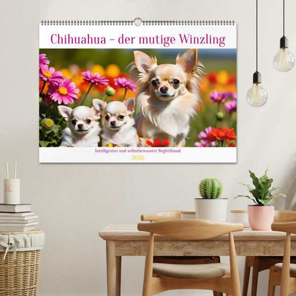 Produktbild: Chihuahua - der mutige Winzling (Wandkalender 2026 DIN A2 quer), CALVENDO Monatskalender