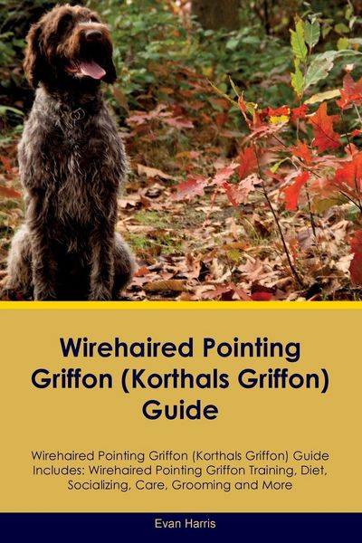 Produktbild: Wirehaired Pointing Griffon (Korthals Griffon) Guide Wirehaired Pointing Griffon Guide Includes