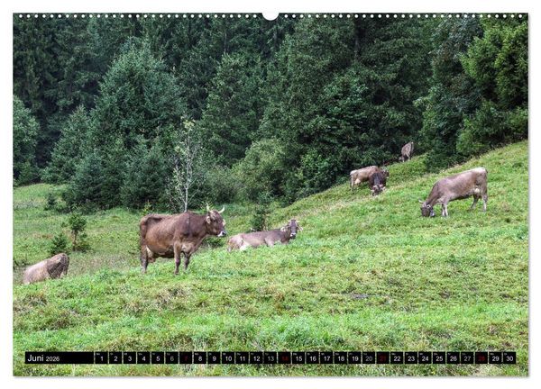 Produktbild: Allg&auml;u - Natur pur (hochwertiger Premium Wandkalender 2026 DIN A2 quer), Kunstdruck in Hochglanz