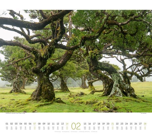 Produktbild: Wald Kalender 2027