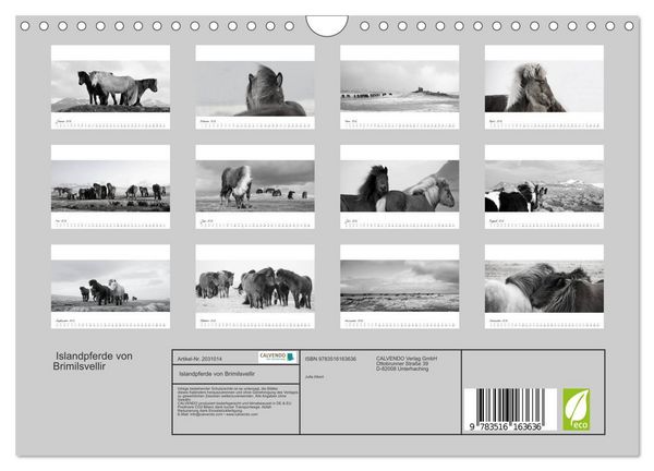 Produktbild: Islandpferde von Brimilsvellir (Wandkalender 2026 DIN A4 quer), CALVENDO Monatskalender
