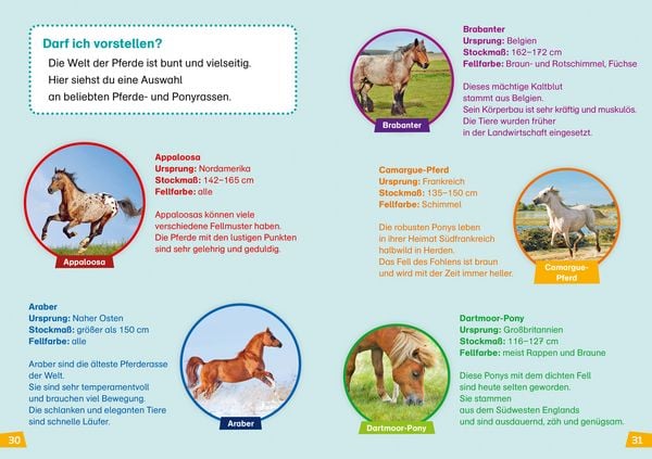 Produktbild: WAS IST WAS Erstes Lesen Band 7. Pferde und Ponys