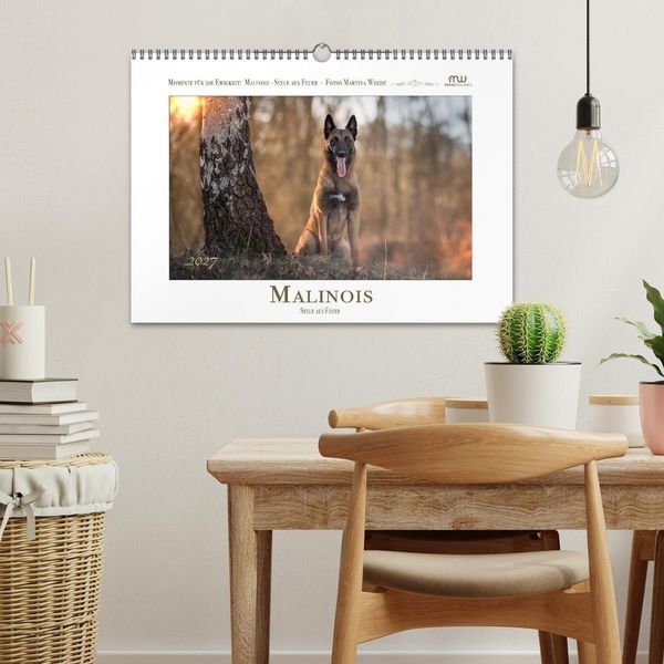 Produktbild: Malinois - Seelen aus Feuer (Wandkalender 2027 DIN A3 quer), CALVENDO Monatskalender