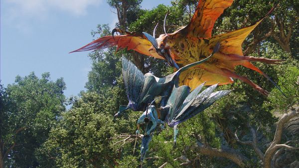 Avatar - Aufbruch nach Pandora 3D - Remastered (+ Blu-ray)