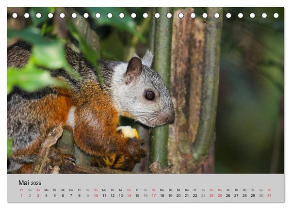 Produktbild: Costa Rica (Tischkalender 2026 DIN A5 quer), CALVENDO Monatskalender