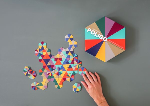 Produktbild: Poligo Spiel
