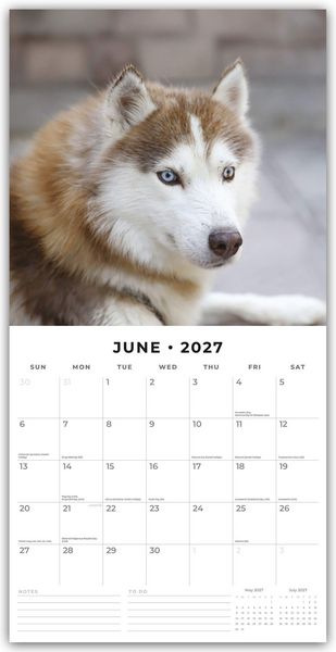 Produktbild: Siberian Huskies &ndash; Sibirischer Husky &ndash; Sibirische Huskys 2027 &ndash; 16-Monatskalender