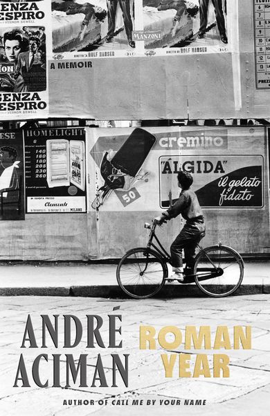 Produktbild: Roman Year