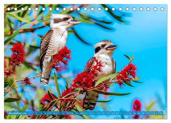 Produktbild: Der Kookaburra - Im australischen Busch mit dem lachenden Hans (Tischkalender 2026 DIN A5 quer), CALVENDO Monatskalender