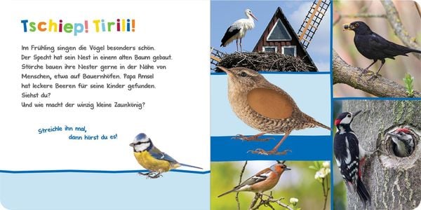 Hör mal rein, wer kann das sein? – Im Frühling