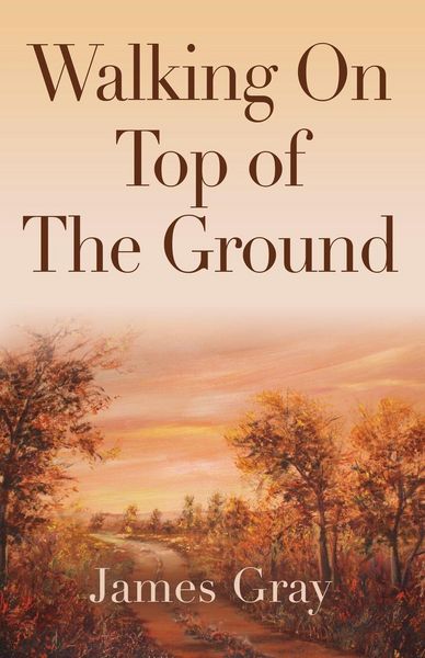 Produktbild: Walking on Top of the Ground