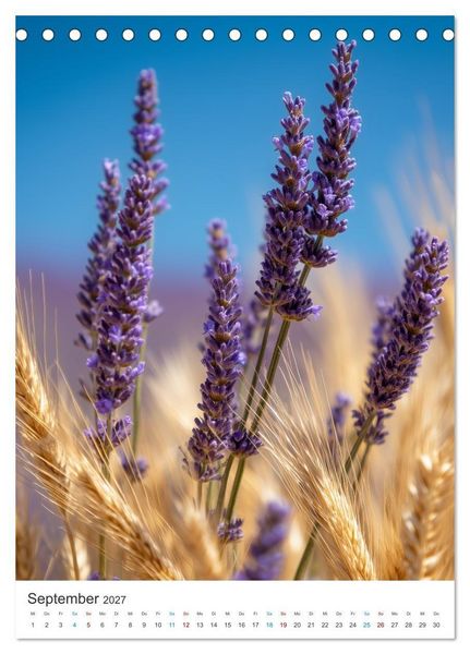 Produktbild: Der Sommer bl&uuml;ht violett (Tischkalender 2027 DIN A5 hoch), CALVENDO Monatskalender