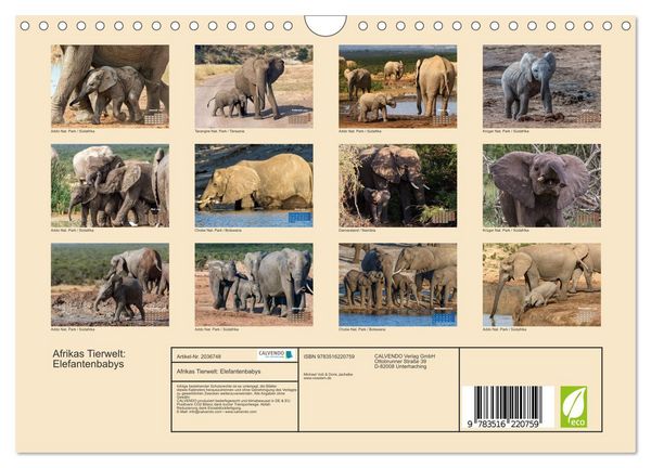 Produktbild: Afrikas Tierwelt: Elefantenbabys (Wandkalender 2026 DIN A4 quer), CALVENDO Monatskalender