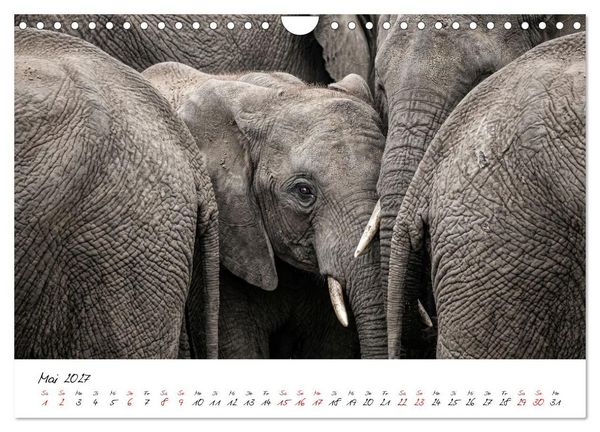Produktbild: Better Together - Herdenmomente (Wandkalender 2027 DIN A4 quer), CALVENDO Monatskalender