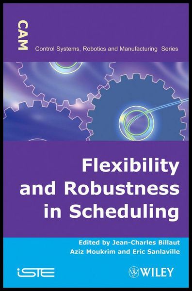 Produktbild: Flexibility and Robustness in Scheduling