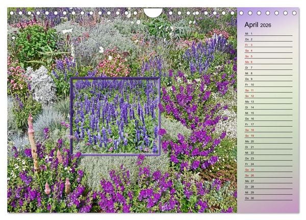 Produktbild: Bl&uuml;hende Gartenparks in Mannheim (Wandkalender 2026 DIN A4 quer), CALVENDO Monatskalender