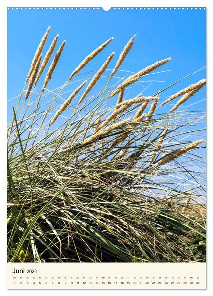 Produktbild: LANGEOOG Strandspaziergang (Wandkalender 2026 DIN A2 hoch), CALVENDO Monatskalender