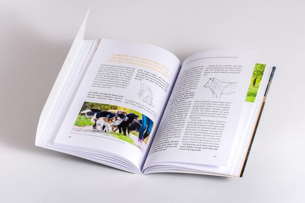 Produktbild: Nähe und Distanz in der Hundeerziehung
