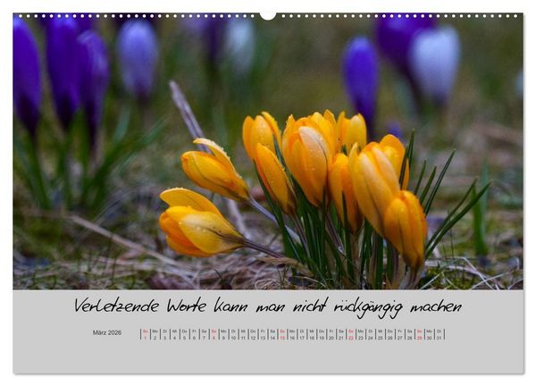 Produktbild: Kleine und gro&szlig;e Wahrheiten - Spr&uuml;che zum Nachdenken (hochwertiger Premium Wandkalender 2026 DIN A2 quer), Kunstdruck in Hochglanz