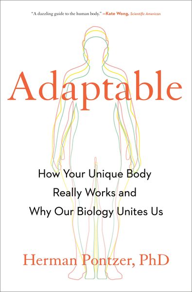 Produktbild: Adaptable