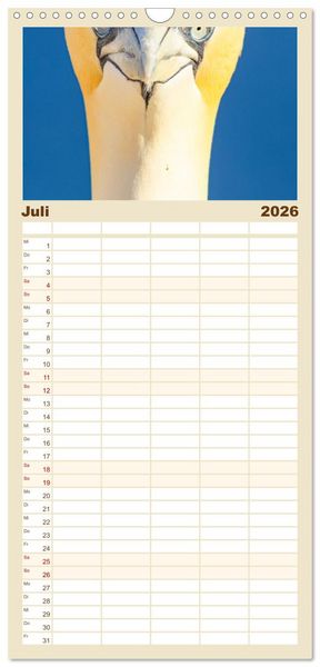 Produktbild: Familienplaner 2026 - Basst&ouml;lpel - Helgolands faszinierende V&ouml;gel mit 5 Spalten (Wandkalender, 21 x 45 cm) CALVENDO