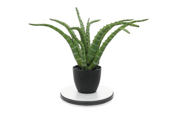 Produktbild: Europalms 50701195 Drehteller