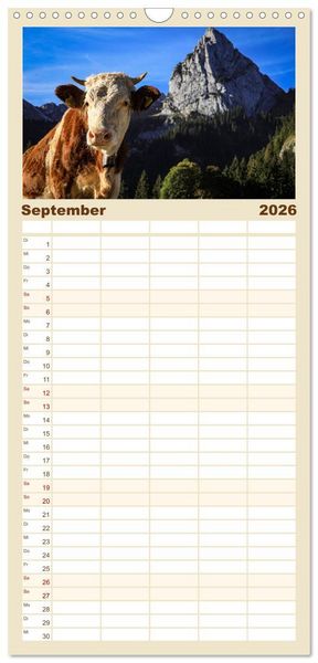 Produktbild: Familienplaner 2026 - Ostallg&auml;u - Zwischen Aggenstein und Forggensee mit 5 Spalten (Wandkalender, 21 x 45 cm) CALVENDO