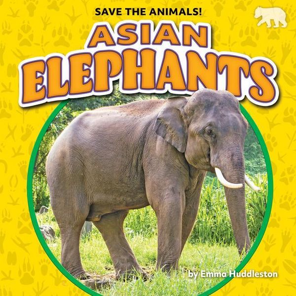 Produktbild: Asian Elephants