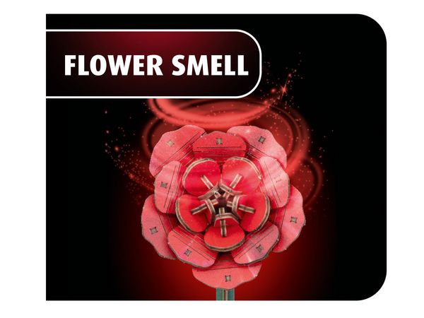 Produktbild: Revell Holzblumen Flowers Dream of Roses mit Vase & Duftring