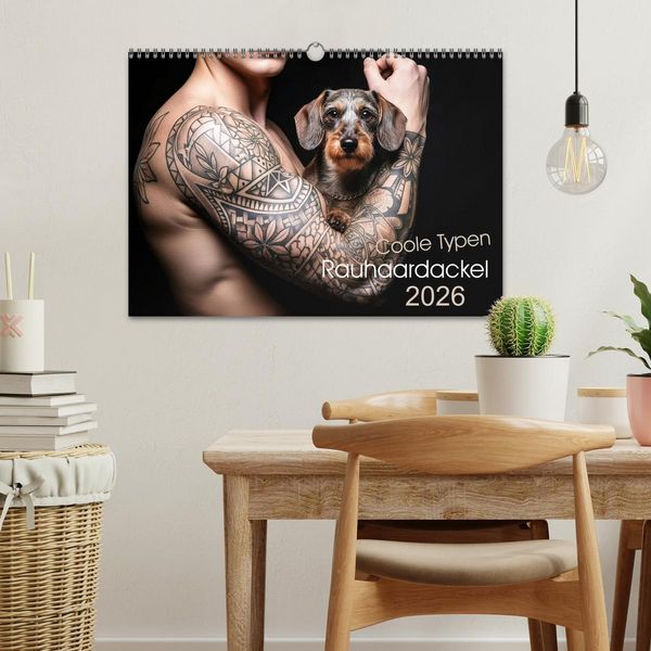 Produktbild: Coole Typen - Rauhaardackel (Wandkalender 2026 DIN A3 quer), CALVENDO Monatskalender