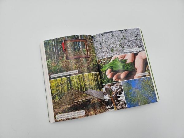 Produktbild: Der Waldwanderer