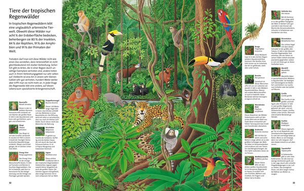 Produktbild: Das gro&szlig;e Buch der B&auml;ume