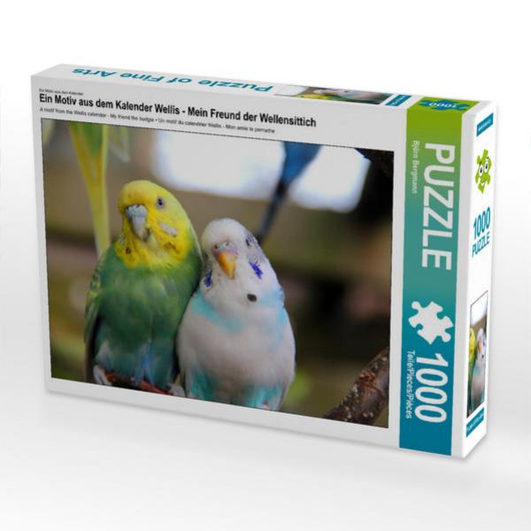 CALVENDO Puzzle Ein Motiv aus dem Kalender Wellis - Mein Freund der Wellensittich | 1000 Teile Lege-Größe 64 × 48 cm Foto-Puzzle für glückliche Stunden