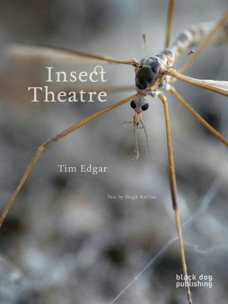 Produktbild: Insect Theatre