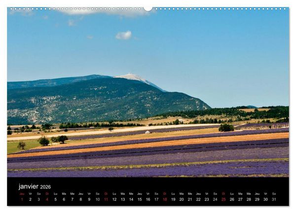 Produktbild: Lavande, l'or bleu de Provence (Calendrier mural 2026 DIN A2 vertical) calendrier de bureau