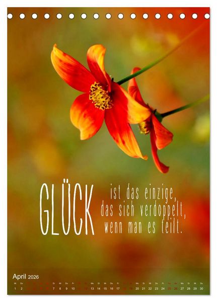 Produktbild: ICH W&Uuml;NSCHE DIR GL&Uuml;CK - 12 Monate mit inspirierenden Gl&uuml;ckszitaten (Tischkalender 2026 DIN A5 hoch), CALVENDO Monatskalender