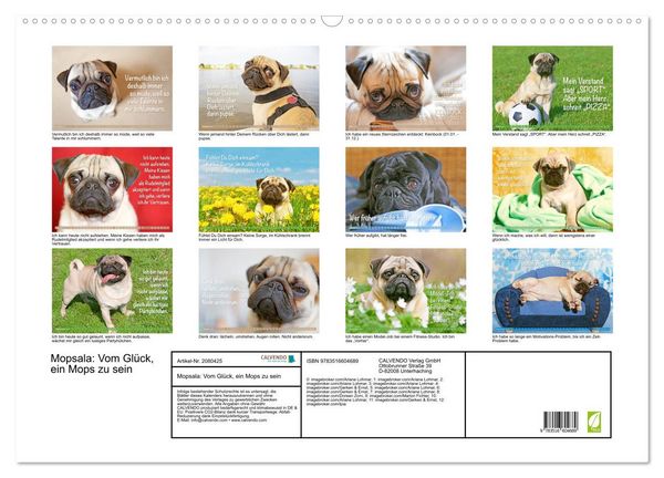 Produktbild: Mopsala: Vom Gl&uuml;ck, ein Mops zu sein (Wandkalender 2026 DIN A2 quer), CALVENDO Monatskalender