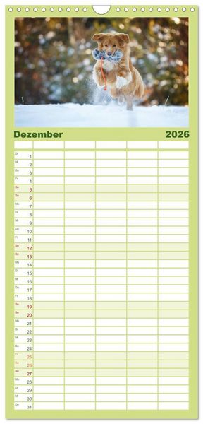 Produktbild: Familienplaner 2026 - Toller - Nova Scotia Duck Tolling Retriever mit 5 Spalten (Wandkalender, 21 x 45 cm) CALVENDO