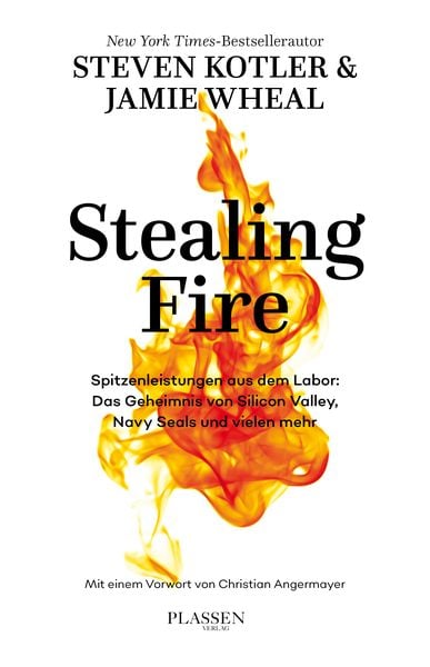 Produktbild: Stealing Fire
