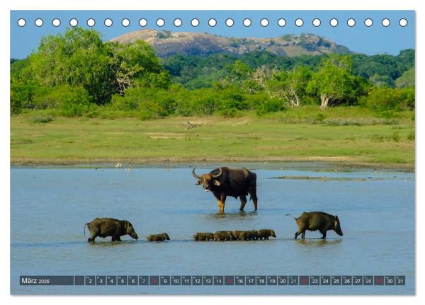 Produktbild: Sri Lanka - Eine Bilder-Reise (Tischkalender 2026 DIN A5 quer), CALVENDO Monatskalender