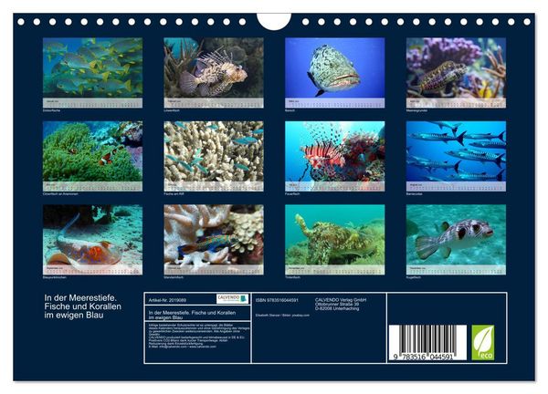 Produktbild: In der Meerestiefe. Fische und Korallen im ewigen Blau (Wandkalender 2026 DIN A4 quer), CALVENDO Monatskalender