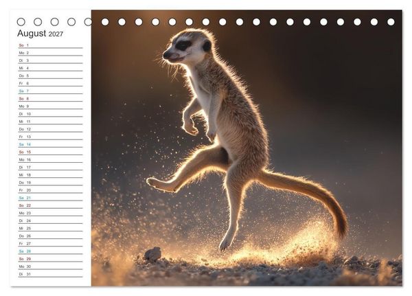 Produktbild: Die Welt der Erdm&auml;nnchen (Tischkalender 2027 DIN A5 quer), CALVENDO Monatskalender