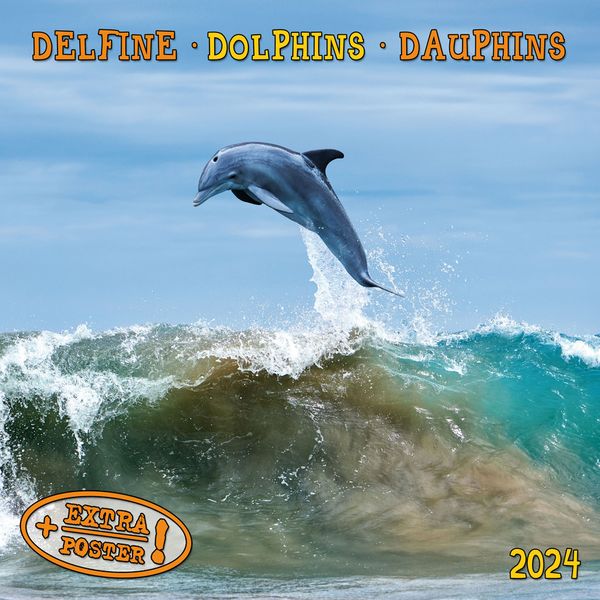 Produktbild: Dolphins/Delfine 2024