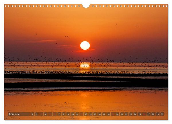 Produktbild: Farbspiele im Licht der Sonne (Wandkalender 2026 DIN A3 quer), CALVENDO Monatskalender