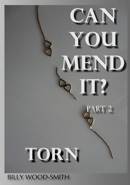 Produktbild: Can You Mend It? Part 2 - Torn ('Can You Mend It?' Series, #2)